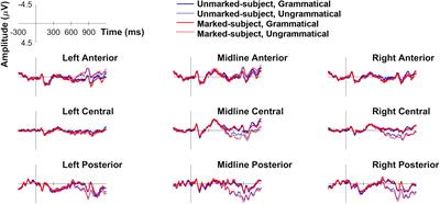 Being a Participant Matters: Event-Related Potentials Show That Markedness Modulates Person Agreement in Spanish